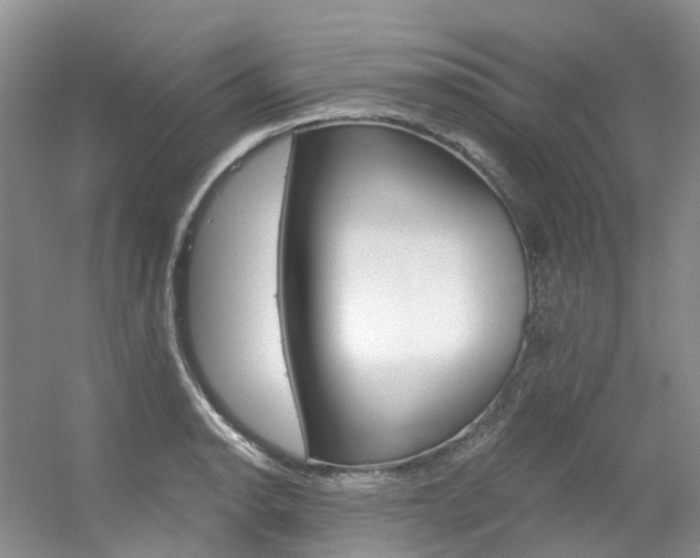 X0000056321134200508260844