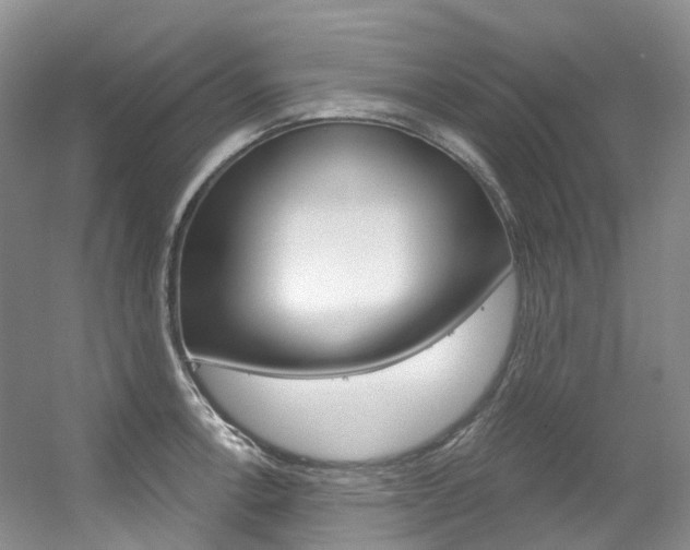 X0000056321138200508260844