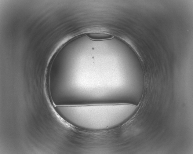 X0000056321139200508260844