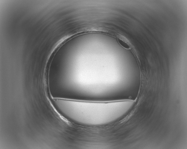 X0000056321141200508260844