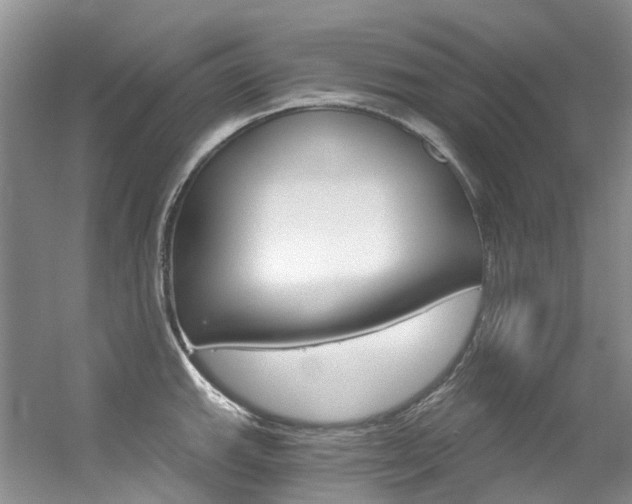 X0000056321143200508260844