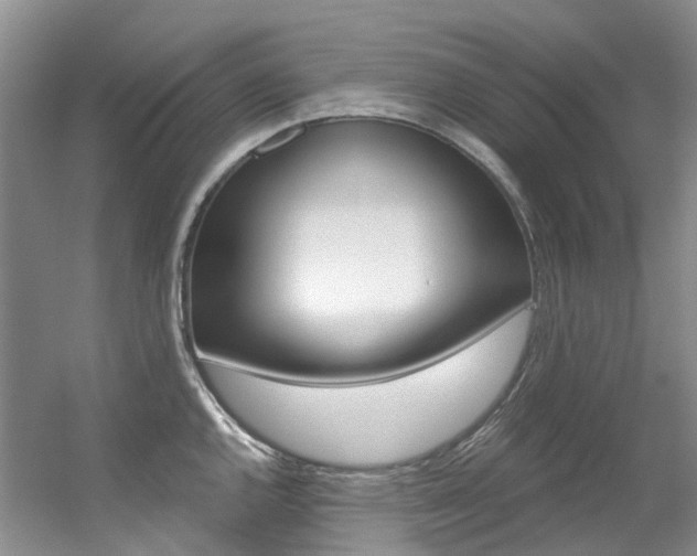 X0000056321144200508260844