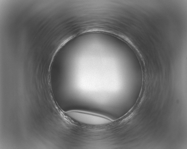 X0000056321145200508260844