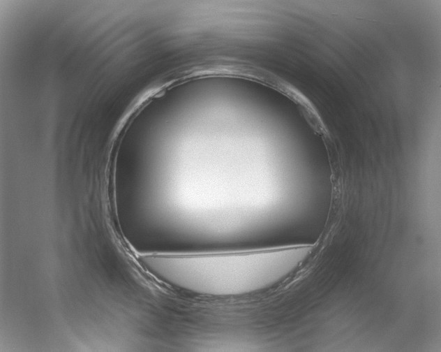 X0000056321146200508260844