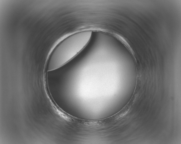 X0000056321149200508260844