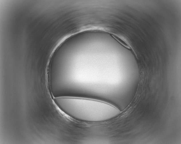 X0000056321151200508260844
