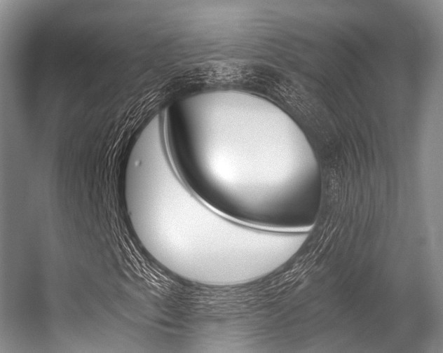 X0000056321153200508260843