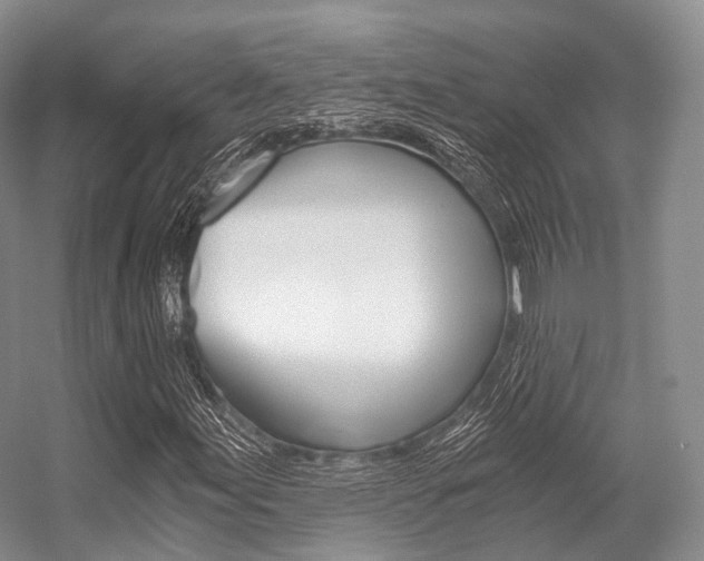 X0000056321155200508260843