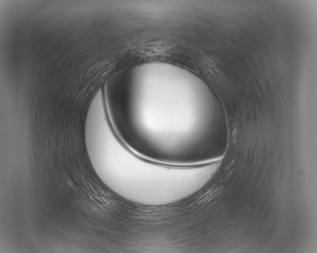 X0000056321156200508260843