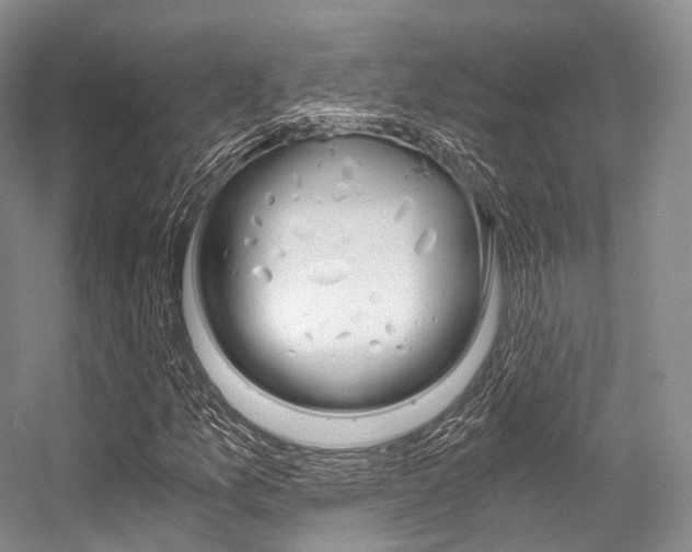 X0000056321157200508260843
