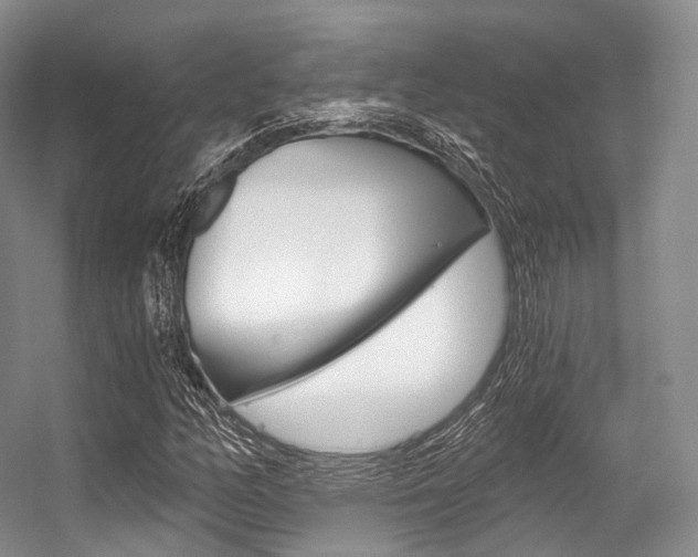 X0000056321158200508260843