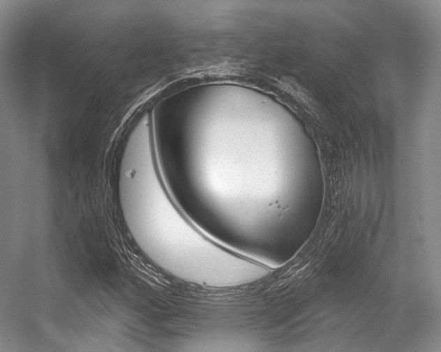 X0000056321160200508260843