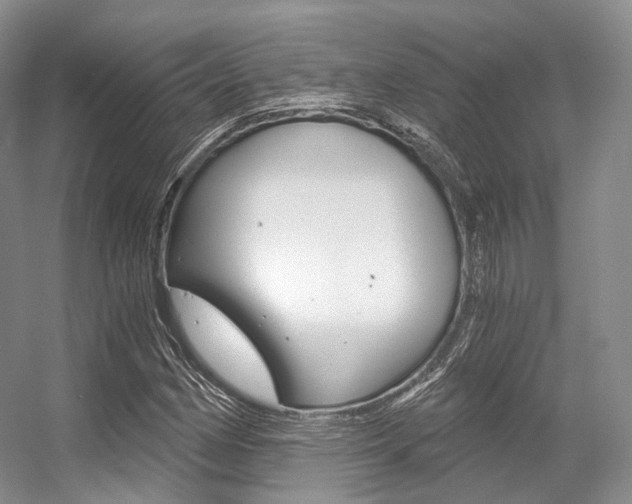 X0000056321162200508260843