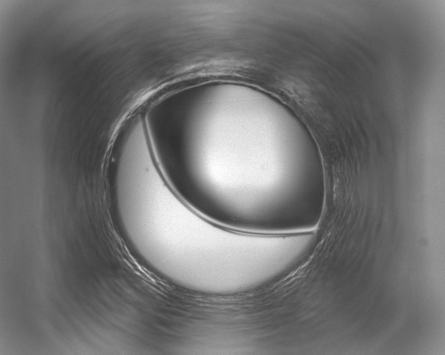 X0000056321164200508260843