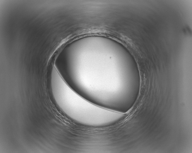 X0000056321165200508260843