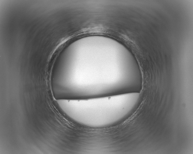 X0000056321166200508260843