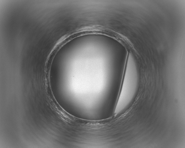 X0000056321168200508260843