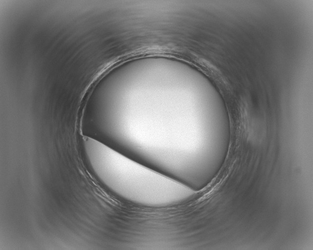 X0000056321170200508260843