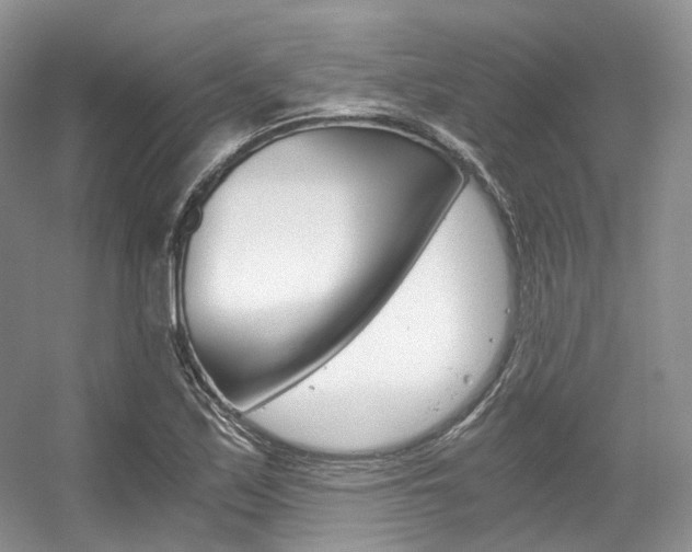 X0000056321171200508260843