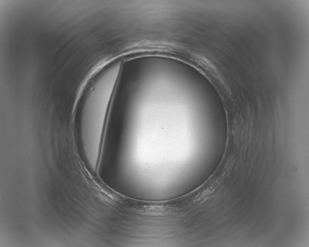 X0000056321172200508260843