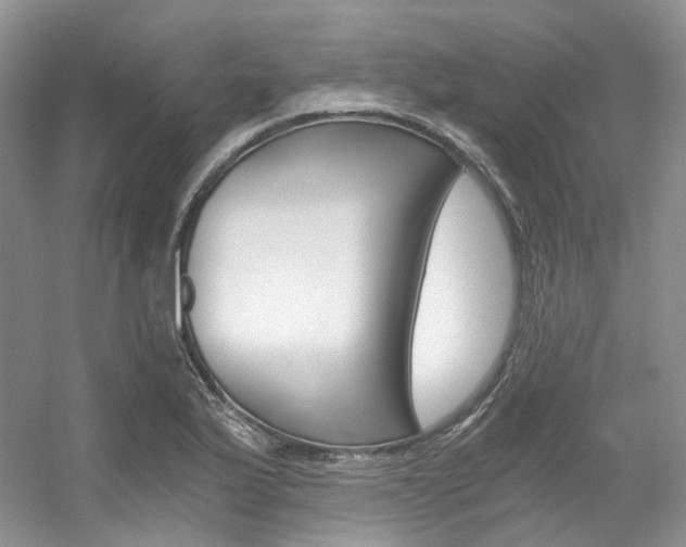 X0000056321175200508260843