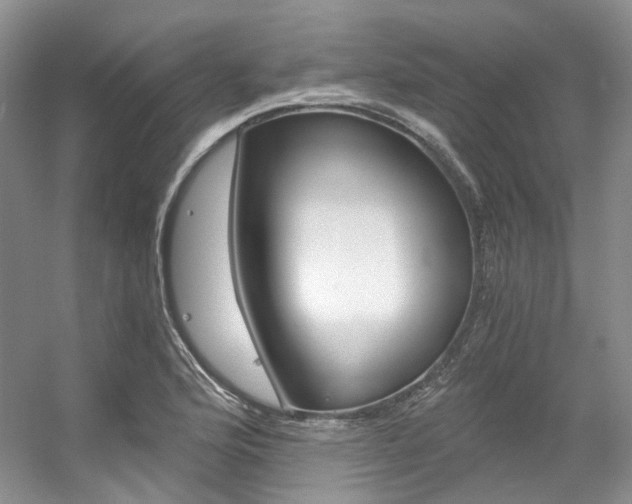 X0000056321176200508260843
