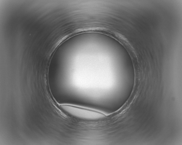 X0000056321177200508260843