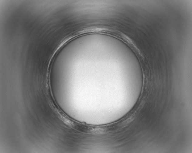 X0000056321178200508260843