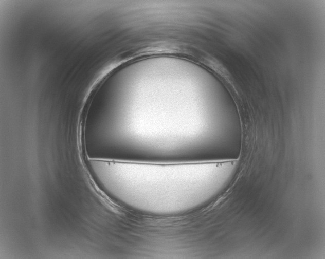 X0000056321179200508260843