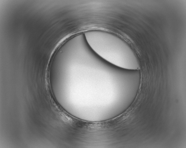 X0000056321182200508260843