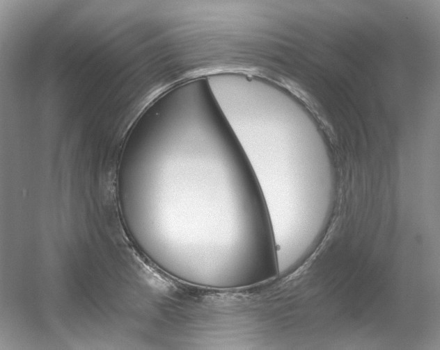 X0000056321185200508260843