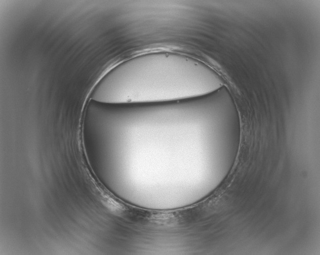 X0000056321186200508260843