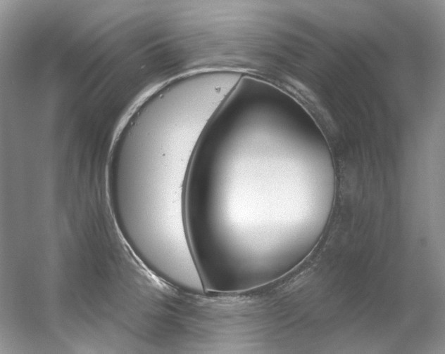 X0000056321188200508260843