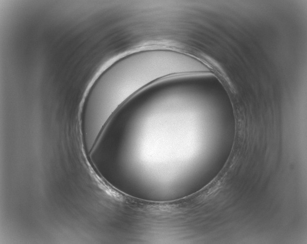 X0000056321192200508260843