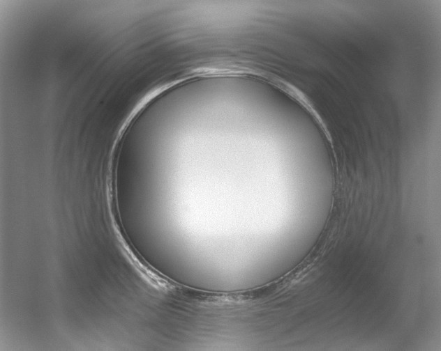 X0000056321195200508260843