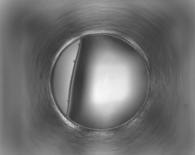 X0000056321197200508260843