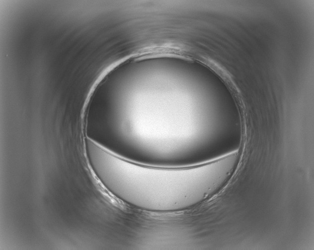 X0000056321200200508260843