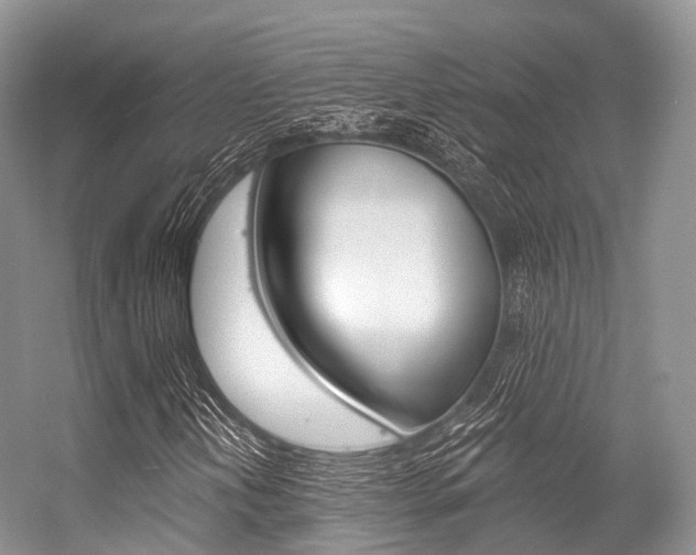 X0000056321202200508260842