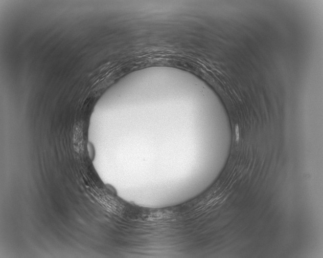X0000056321203200508260842