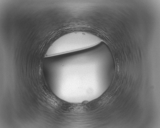 X0000056321204200508260842