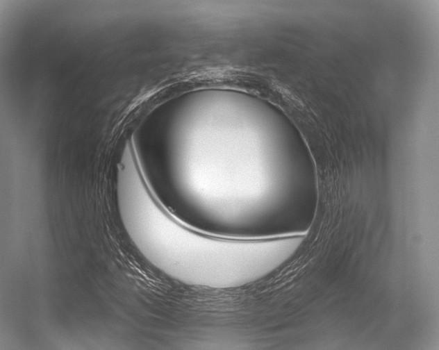 X0000056321206200508260842