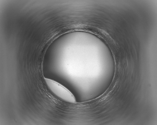X0000056321209200508260842