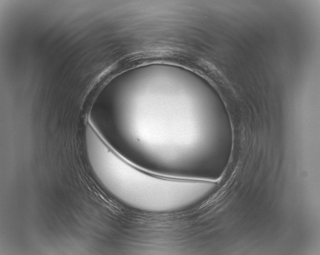 X0000056321210200508260842