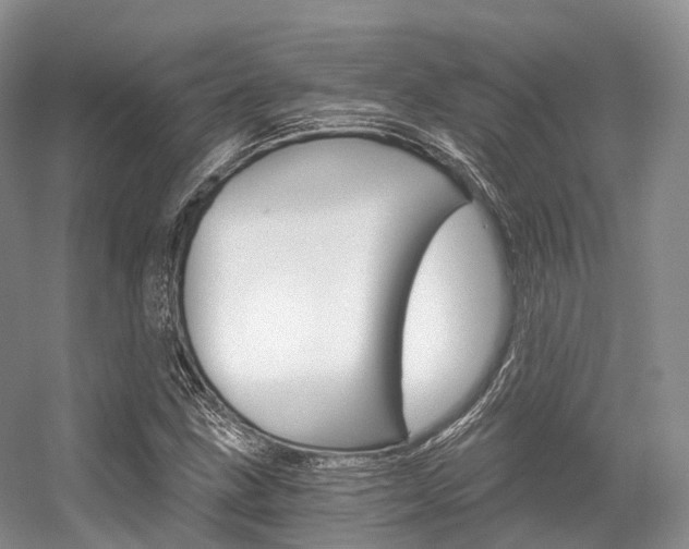 X0000056321211200508260842