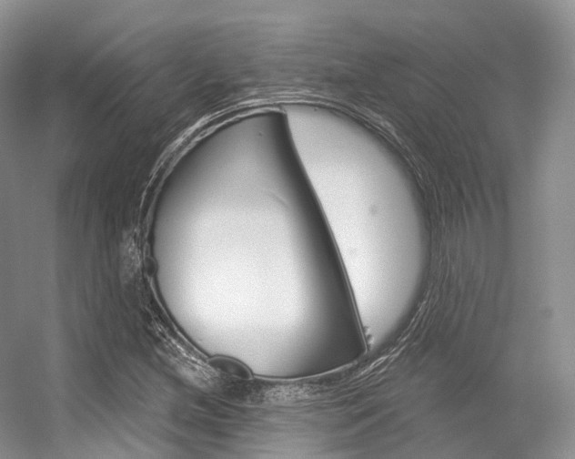 X0000056321212200508260842