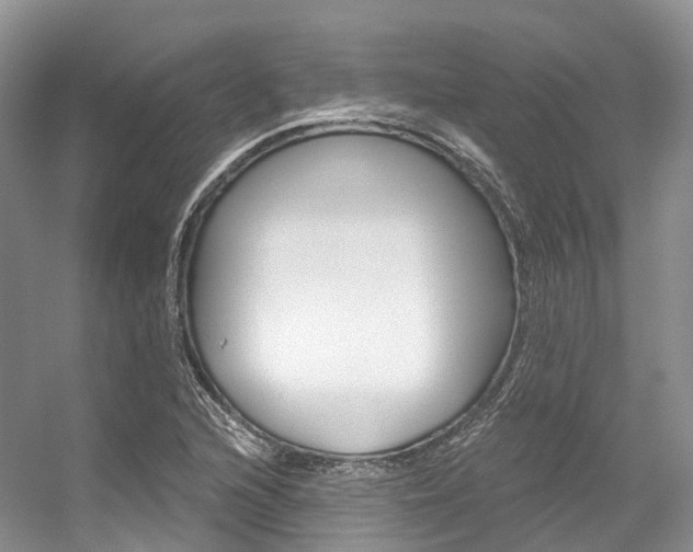 X0000056321216200508260842