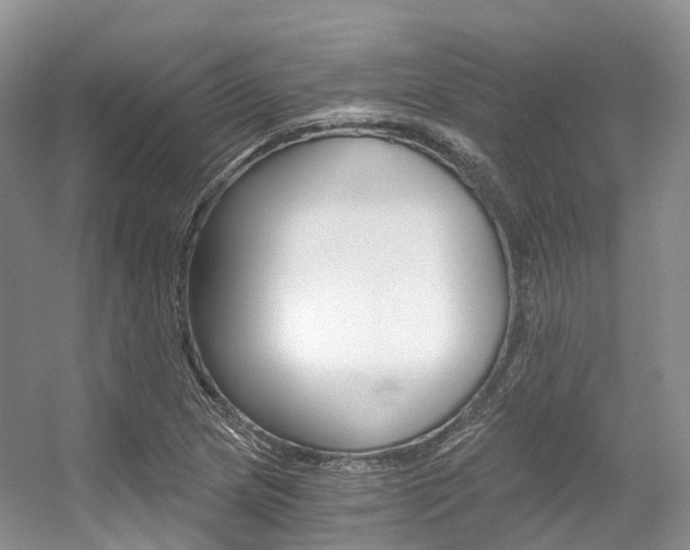 X0000056321217200508260842