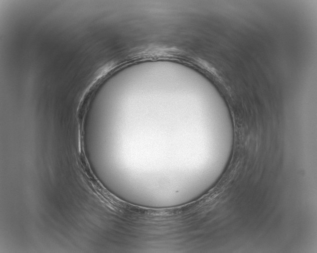 X0000056321219200508260842