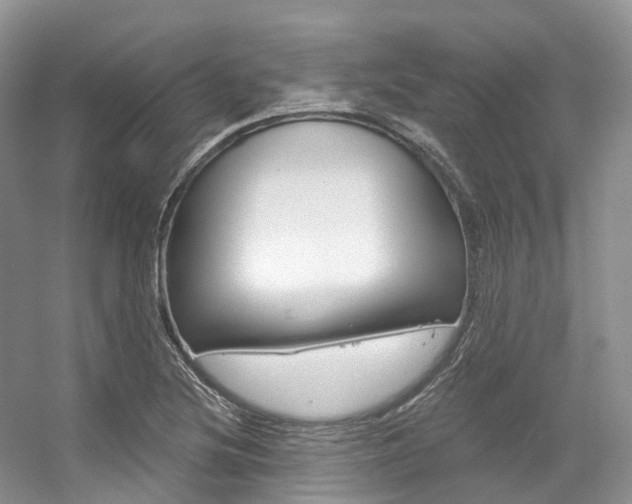 X0000056321220200508260842
