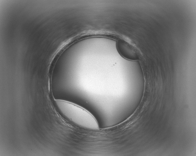 X0000056321221200508260842